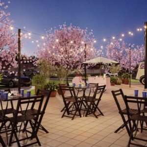 WhatsApp Image 2024-09-05 at 12.30.31 (2)